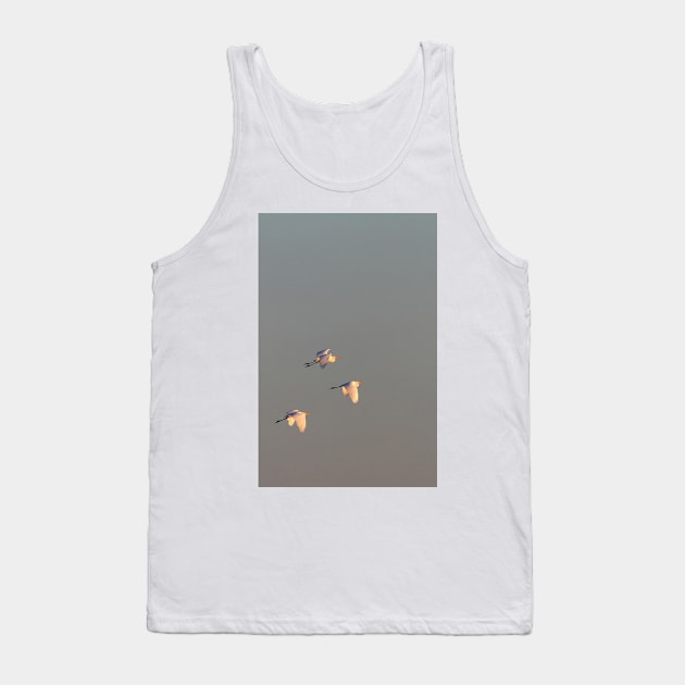 Egret Sunrise Tank Top by Jim Cumming